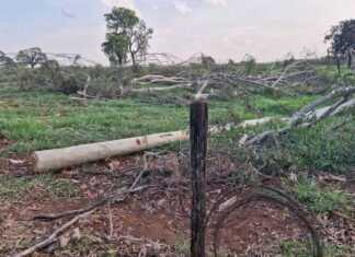Trabalhador morre ao levar choque em cerca