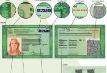 SP, DF e 13 estados têm 4 meses para começar a emitir a nova carteira de identidade
