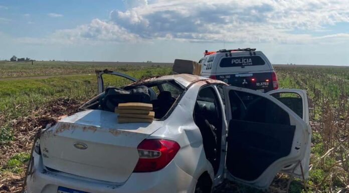 Polícia Militar de Aral Moreira apreende 519 quilos de maconha após denúncia