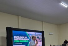 Um novo olhar para a Avenida Pedro Manvailler