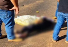 Coletora de recicláveis morre atropelada por carreta na BR-267