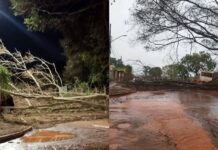 Cinco dias depois de temporal
