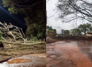 Cinco dias depois de temporal