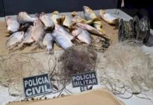 Homem em liberdade condicional é preso com pistola e pescado ilegal
