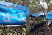 Vídeo: Dois goianos morrem após avião cair em área rural no Tocantins