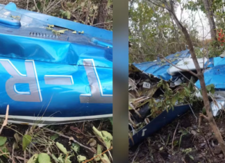 Vídeo: Dois goianos morrem após avião cair em área rural no Tocantins