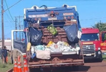 Gari morre ao ser atropelado por caminhão da coleta de lixo